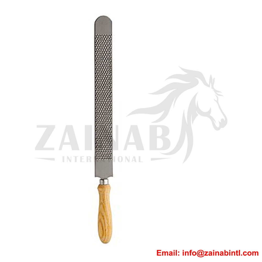 HOOF RASP