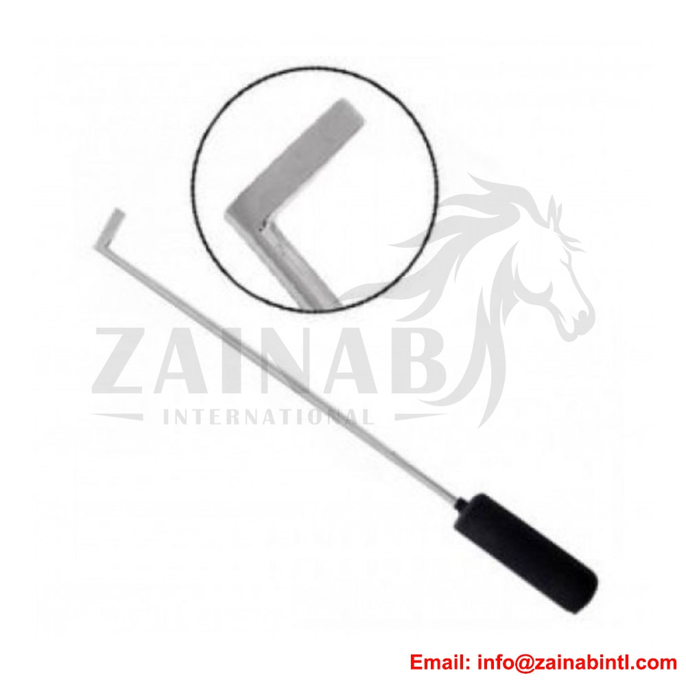 DENTAL PICKS