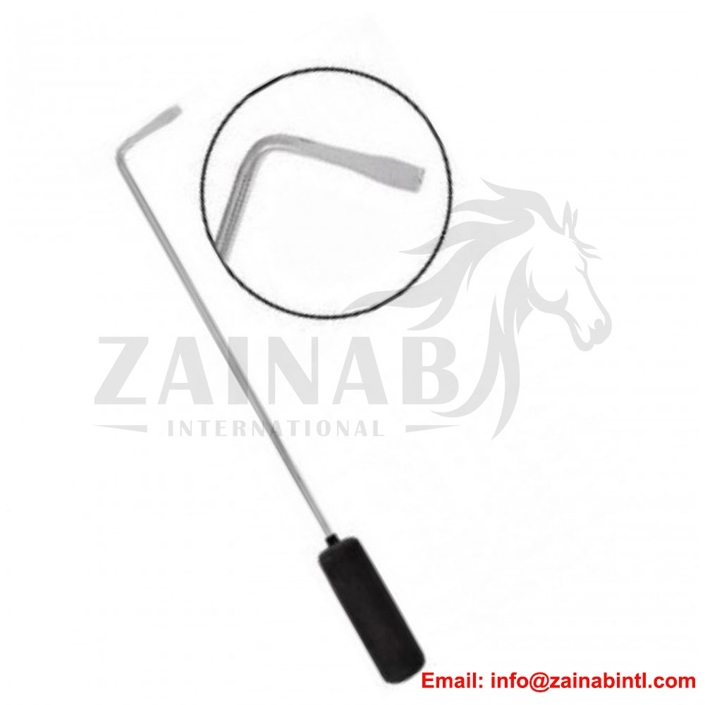 DENTAL PICKS