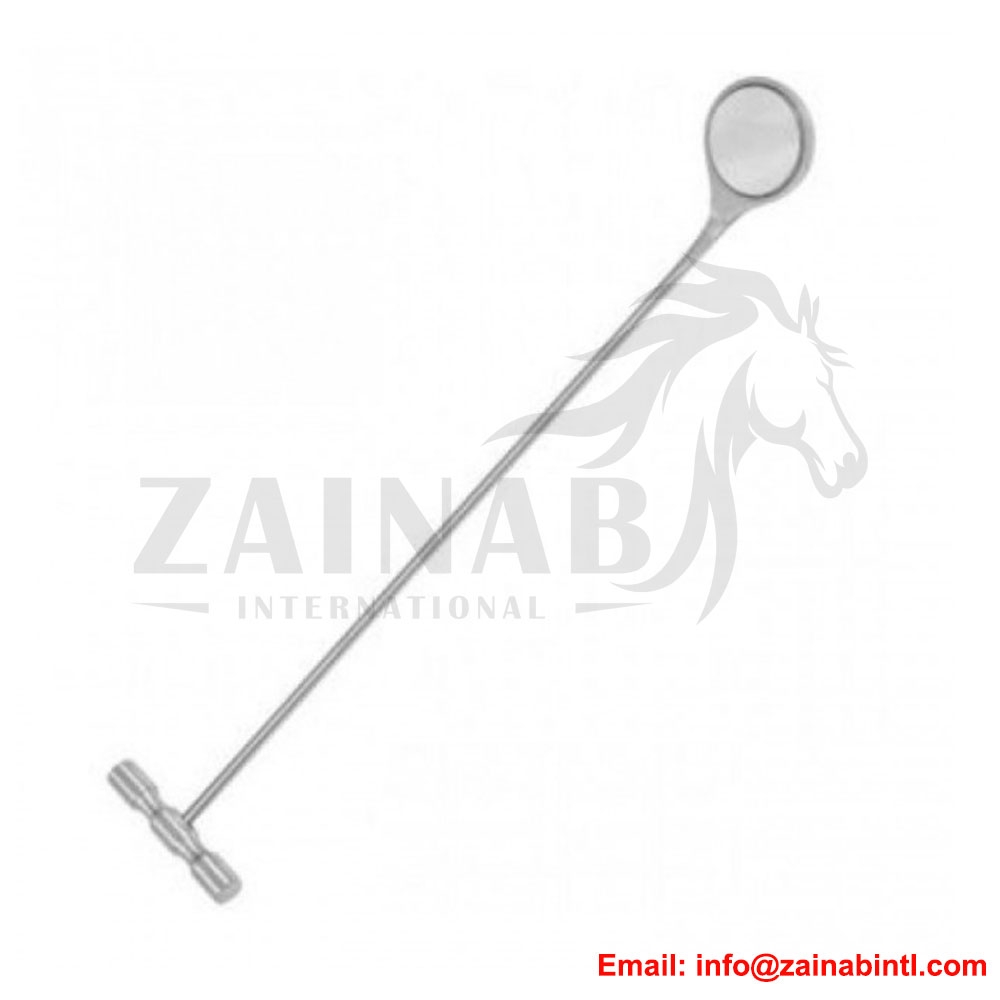 DENTAL MIRROR